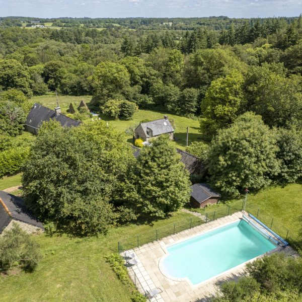 Forêt Totem la piscine et la forêt 2