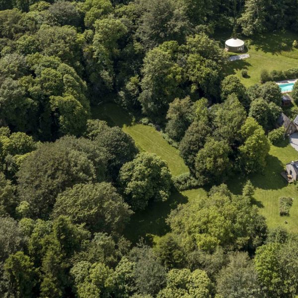 Forêt Totem la vue du ciel compresse